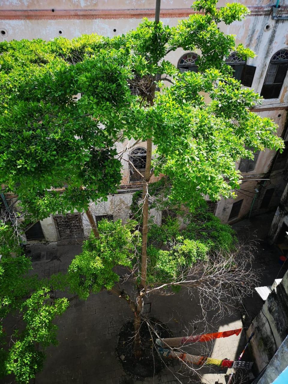 Bottoms Up Hostel Zanzibar Exterior photo